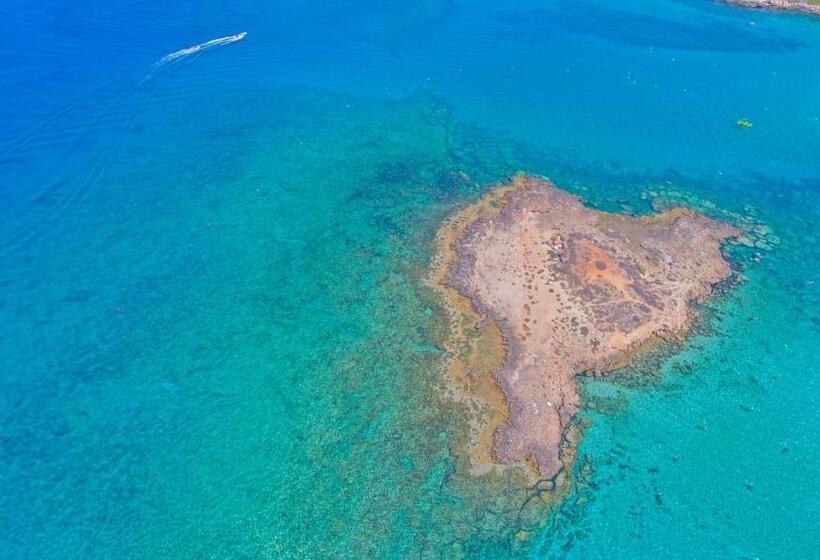 Отель Constantinos The Great Beach
