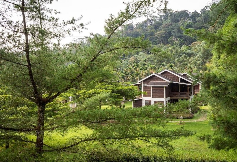 هتل Crystal Resort   Chalet