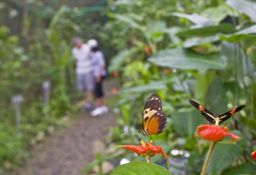 בית מלון כפרי Gamboa Rainforest Reserve
