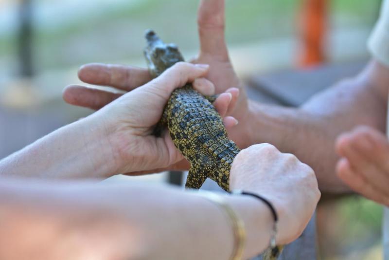 ホテル Gooderson Dumazulu Lodge & Traditional Village