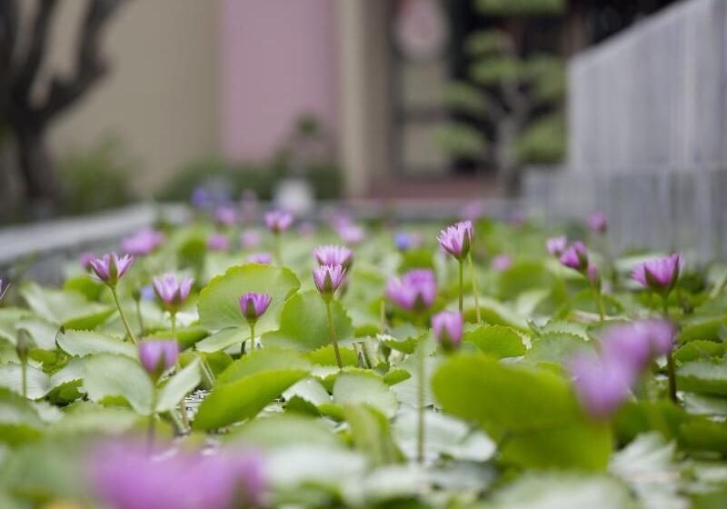 هتل Hoi An Historic