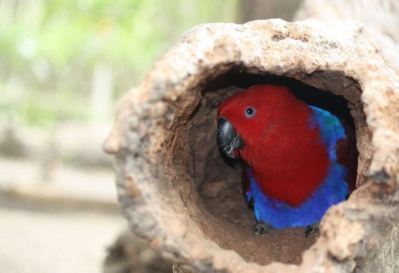 ホテル Holiday Inn Port Moresby By Ihg