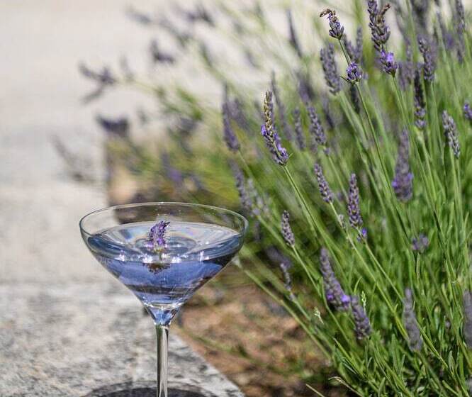 فندق Les Bories & Spa