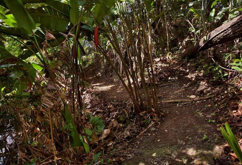 호텔 Melia Panama Canal