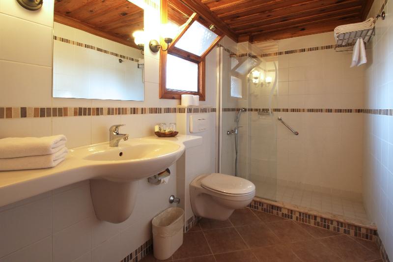 ホテル Montana Pine Resort   All Inclusive