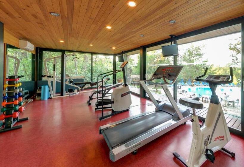 ホテル Montana Pine Resort   All Inclusive