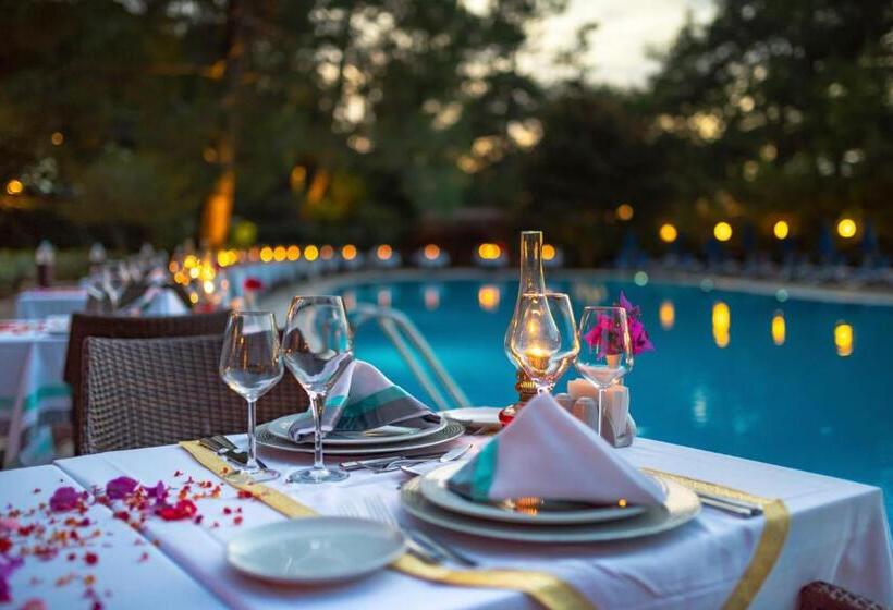 ホテル Montana Pine Resort   All Inclusive