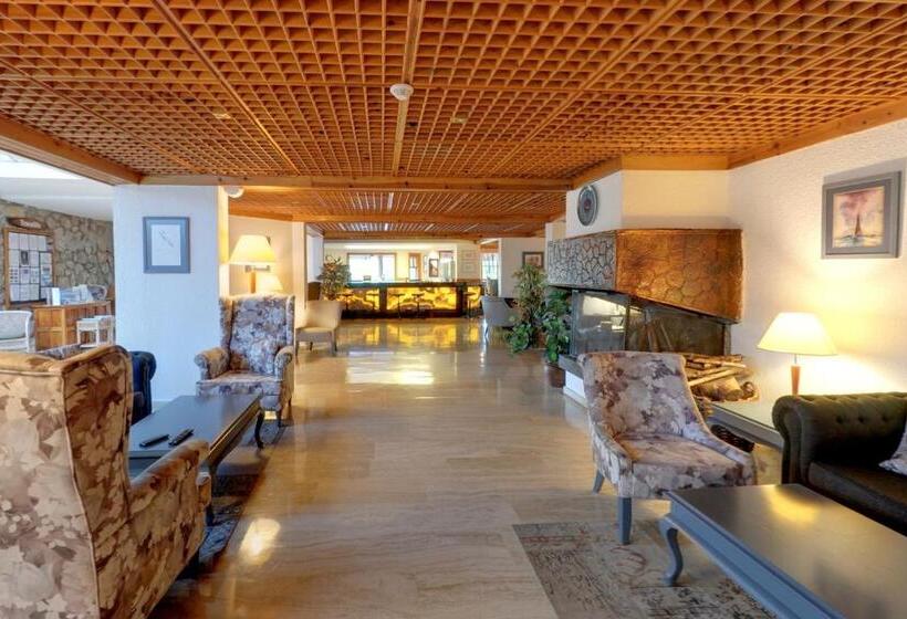 ホテル Montana Pine Resort   All Inclusive