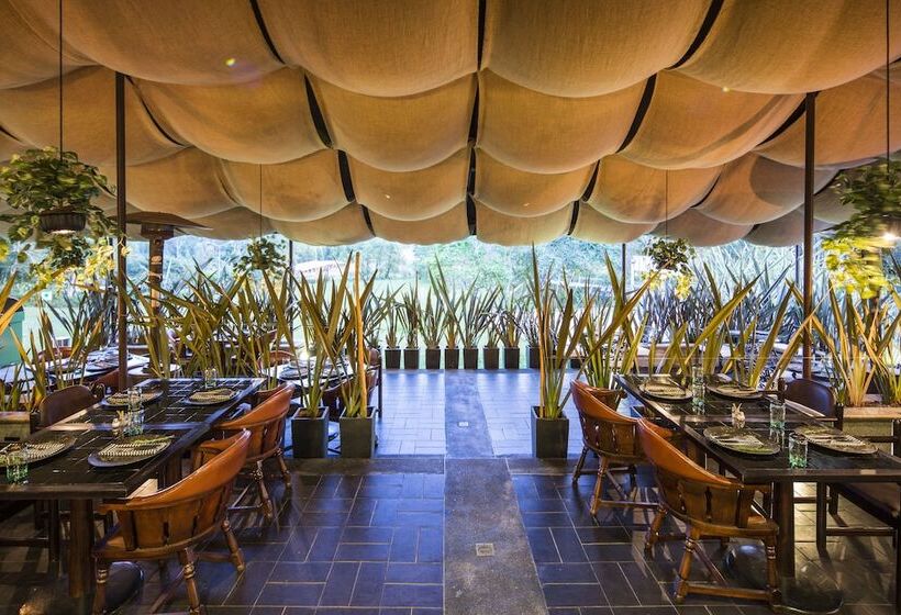 Movich Hotel Las Lomas