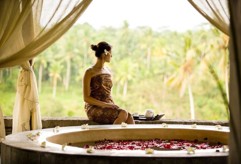 Отель The Payogan Villa Resort And Spa