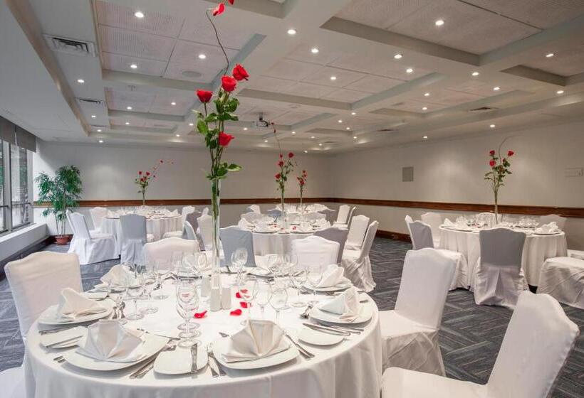 فندق Plaza El Bosque Ebro