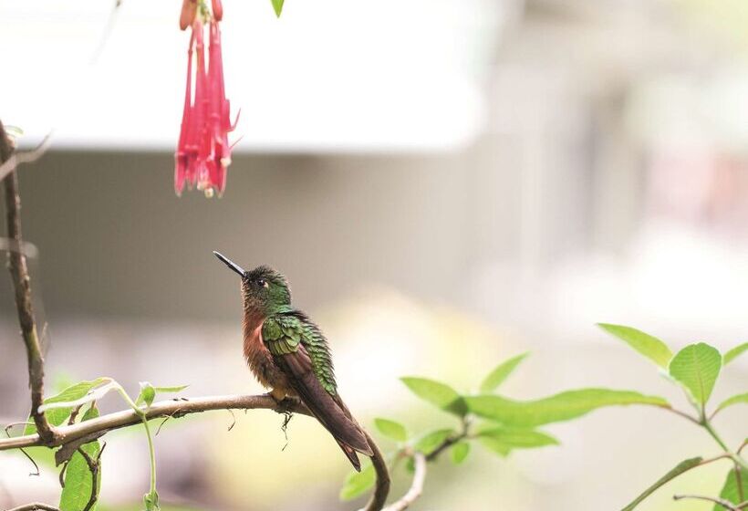 Sanctuary Lodge, A Belmond Hotel, Machu Picchu