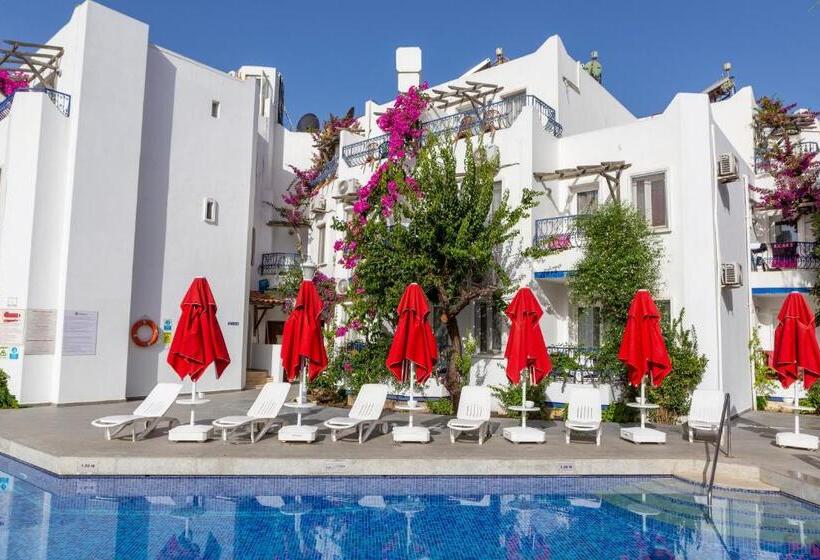 בית מלון כפרי Serhan