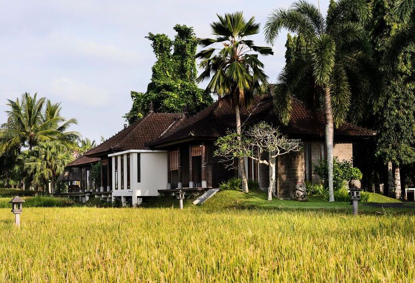 هتل Tanah Gajah, A Resort By Hadiprana