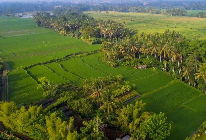 هتل Tanah Gajah, A Resort By Hadiprana