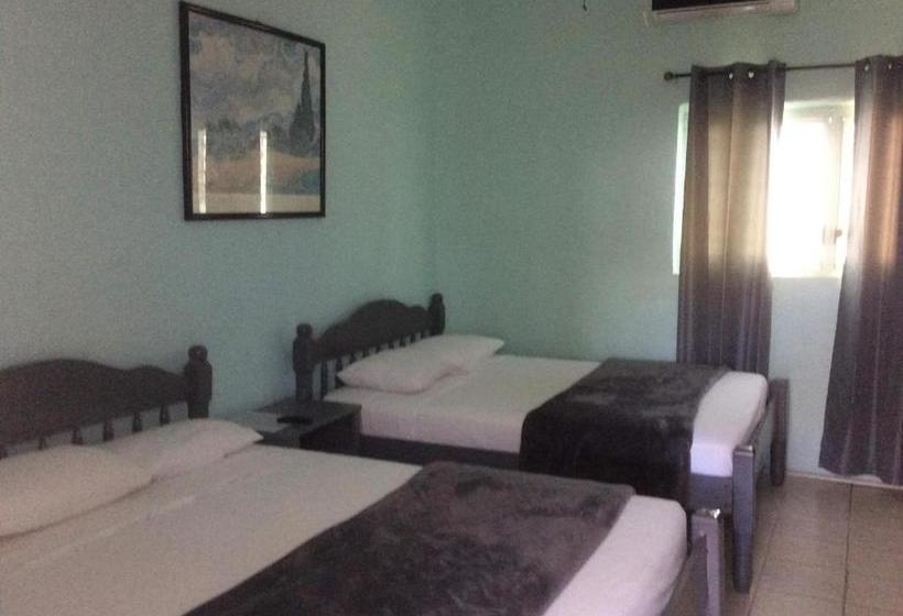 فندق Caribbean Palms Inn