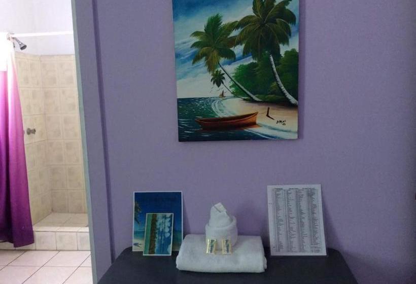 فندق Caribbean Palms Inn