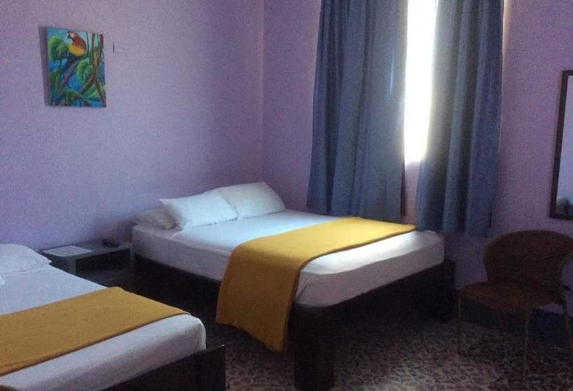 فندق Caribbean Palms Inn