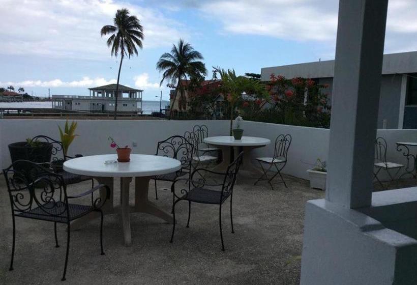 فندق Caribbean Palms Inn