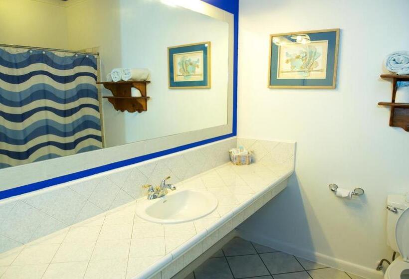 בית מלון כפרי The Great House Inn