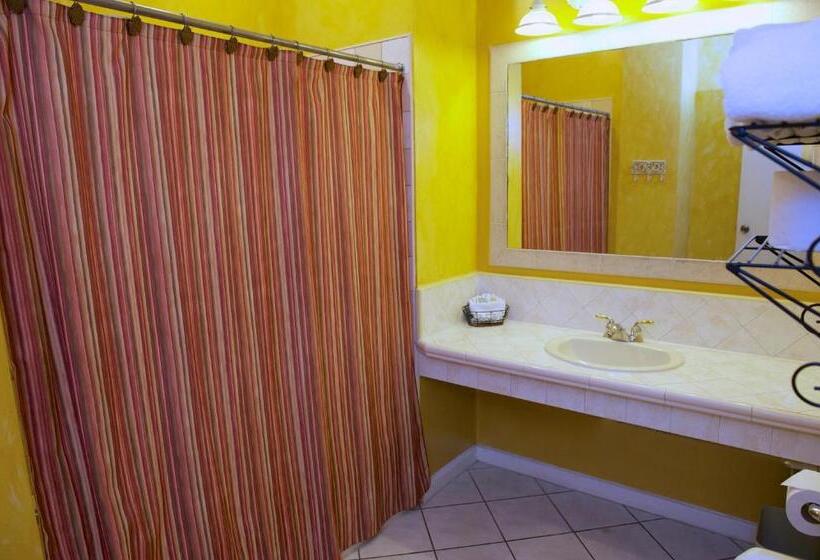 בית מלון כפרי The Great House Inn