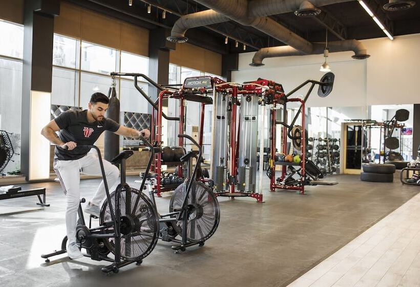 The Palms Beach Hotel And Spa