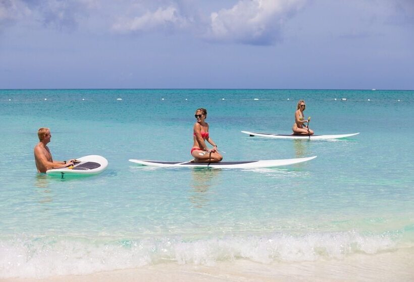 Отель The Palms Turks And Caicos