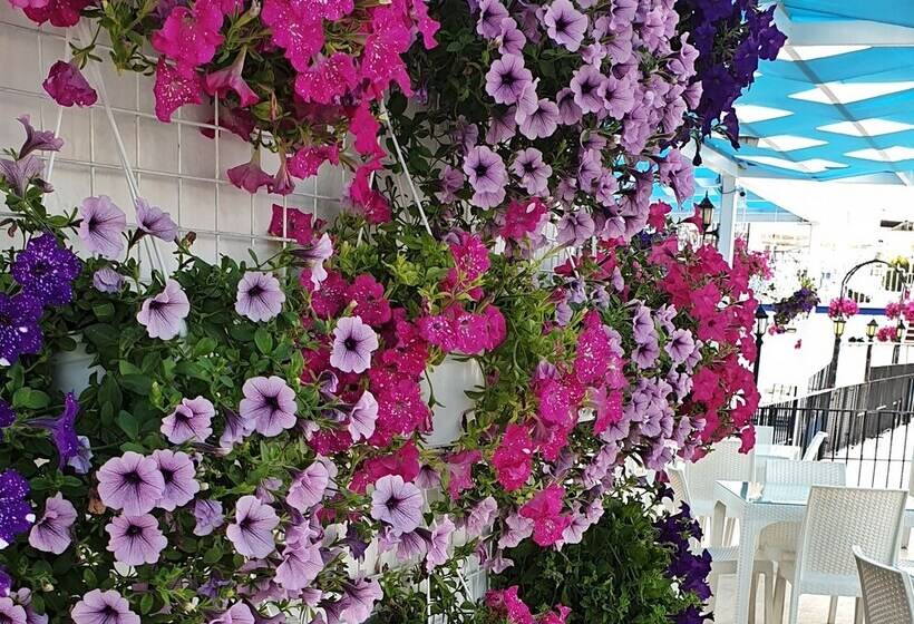 Sky Vela Hotel   All Inclusive