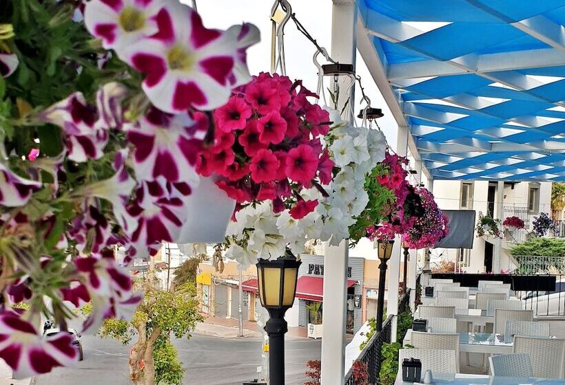 Sky Vela Hotel   All Inclusive