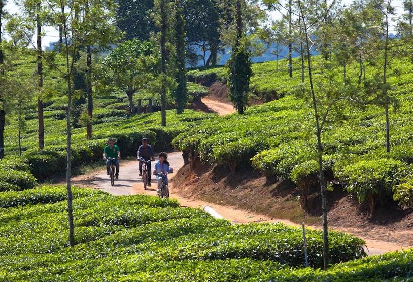 Ama Stays & Trails, Braganza House Goa