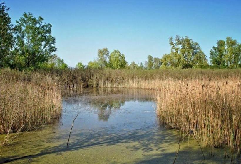 호스텔 Al Bacino Rooms And Breakfast