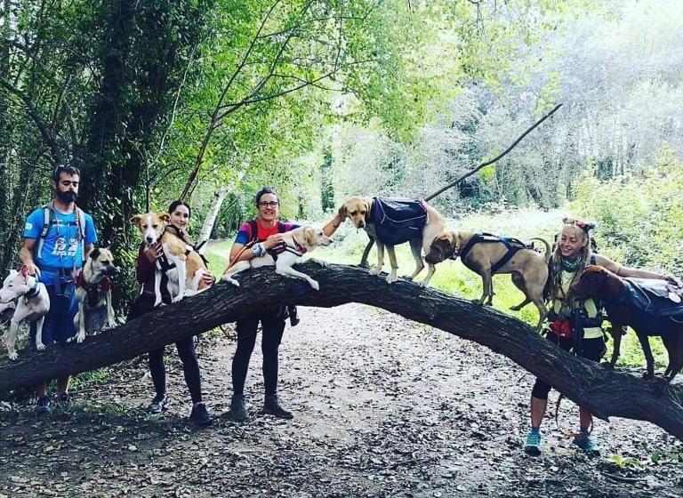 旅馆 Pensión Alecer