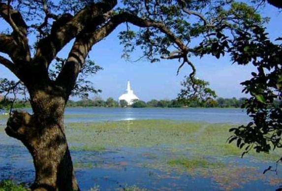 مبيت وإفطار Althi Home Stay