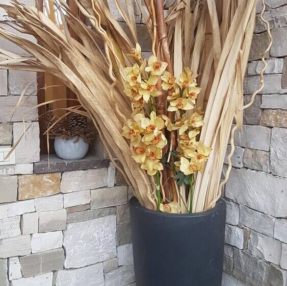 צימר Illuvia Affitto Camere