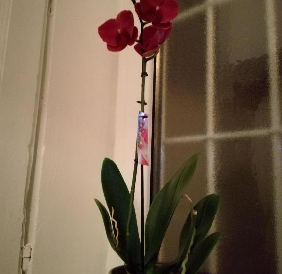 Bed and Breakfast La Dimora Del Giurista