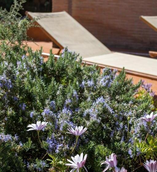 مبيت وإفطار Villa Cipriano