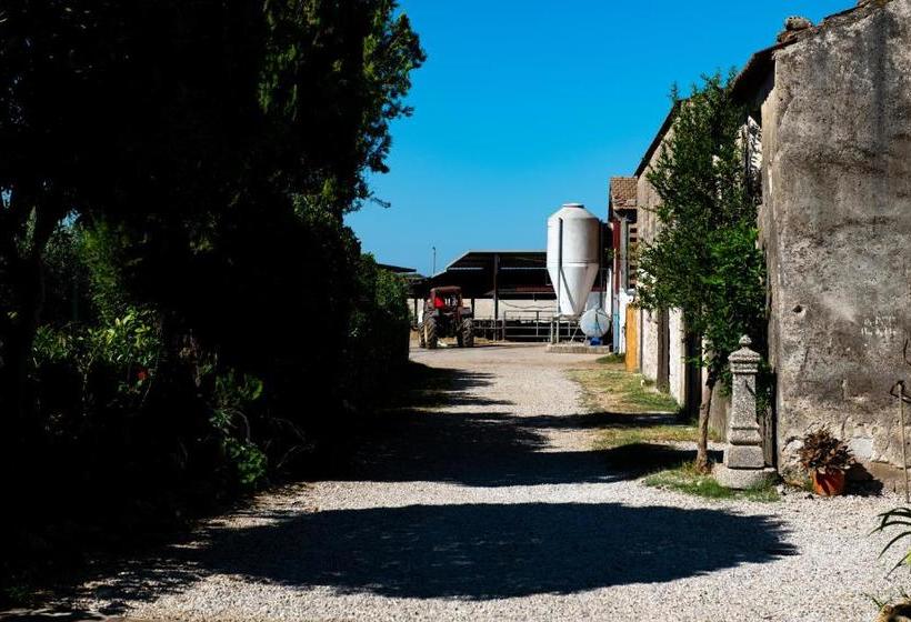 Dimora Iannelli   B&b Rurale Paestum