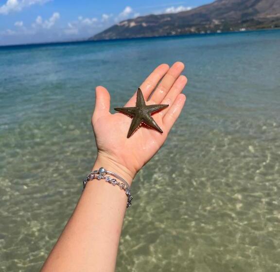 בית מלון כפרי Adriatik Orikum