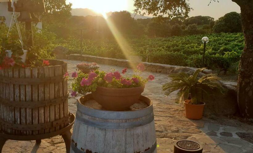 בית מלון כפרי Agriturismo Vermentino