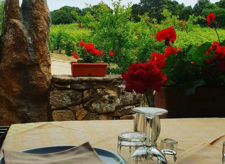 בית מלון כפרי Agriturismo Vermentino