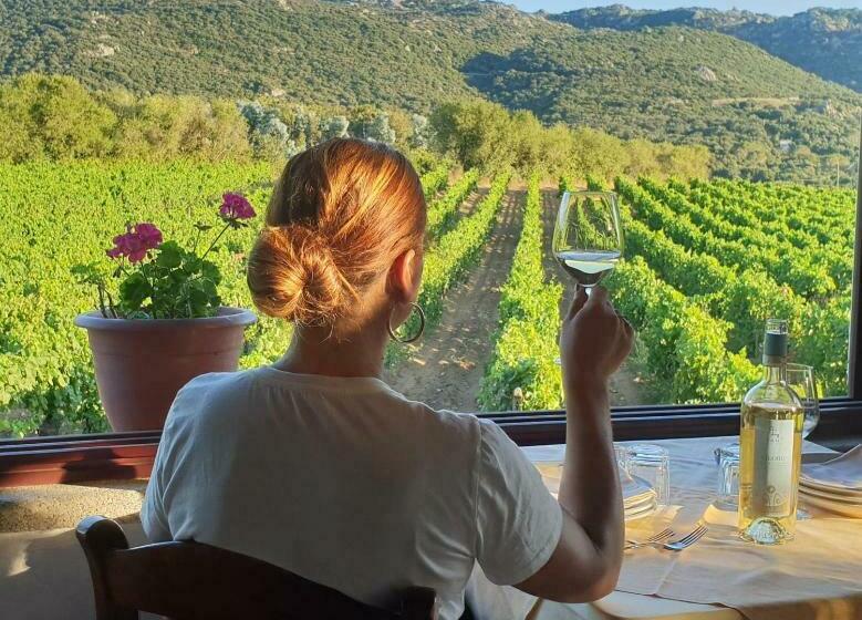 בית מלון כפרי Agriturismo Vermentino