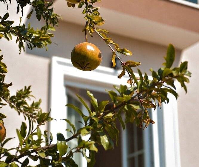בית מלון כפרי Airport Garden