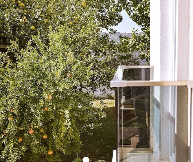 בית מלון כפרי Airport Garden