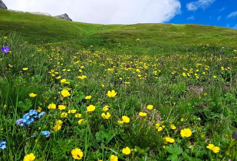 בית מלון כפרי Avers