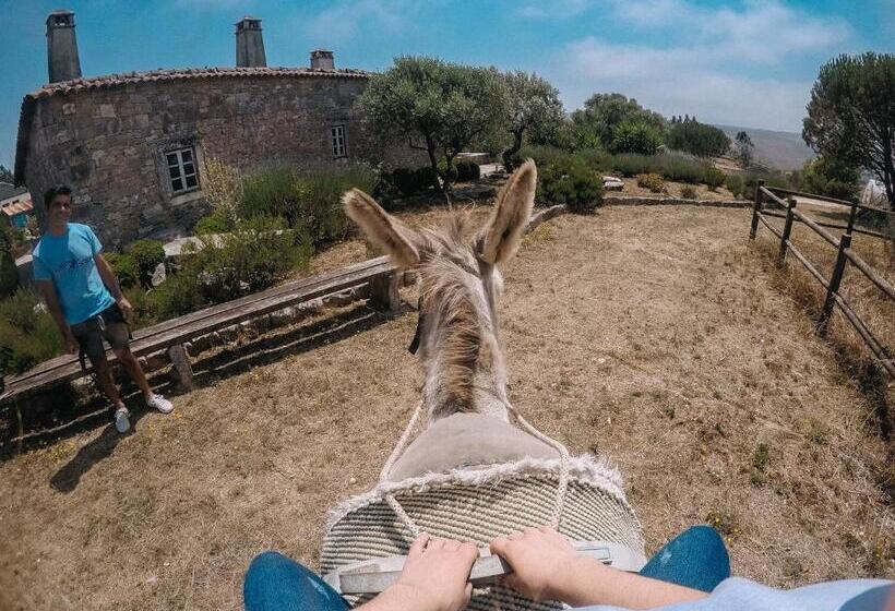 בית מלון כפרי Casas De Pedra   Quinta Da Escola
