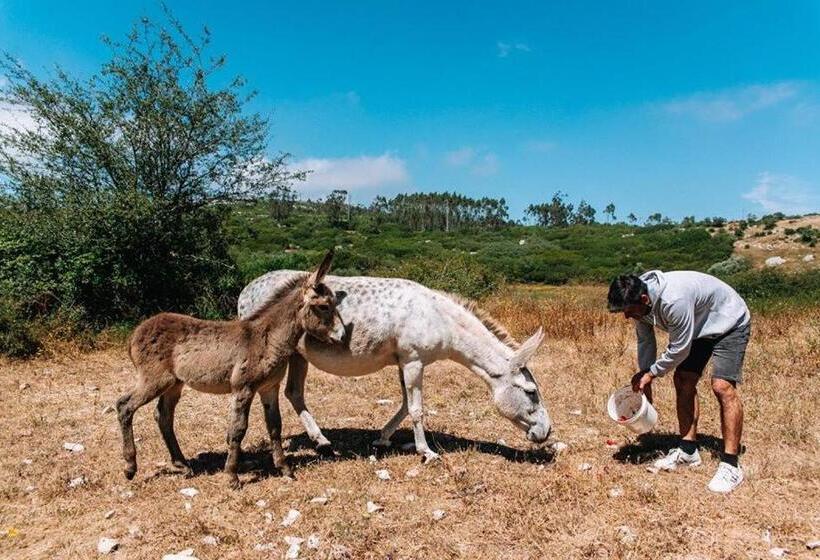 בית מלון כפרי Casas De Pedra   Quinta Da Escola