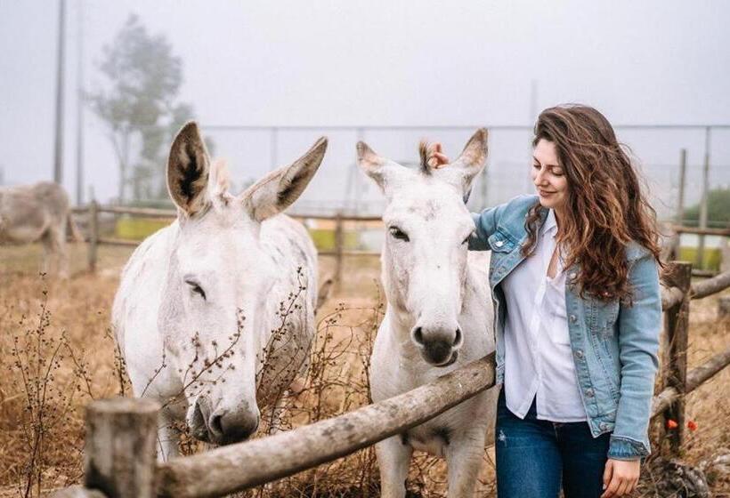 בית מלון כפרי Casas De Pedra   Quinta Da Escola