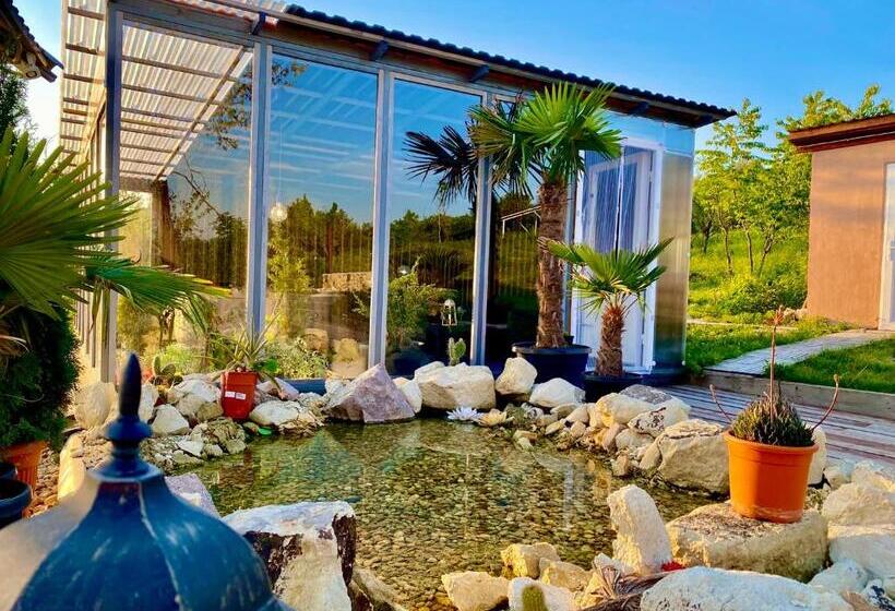 בית מלון כפרי Chateau Vincze