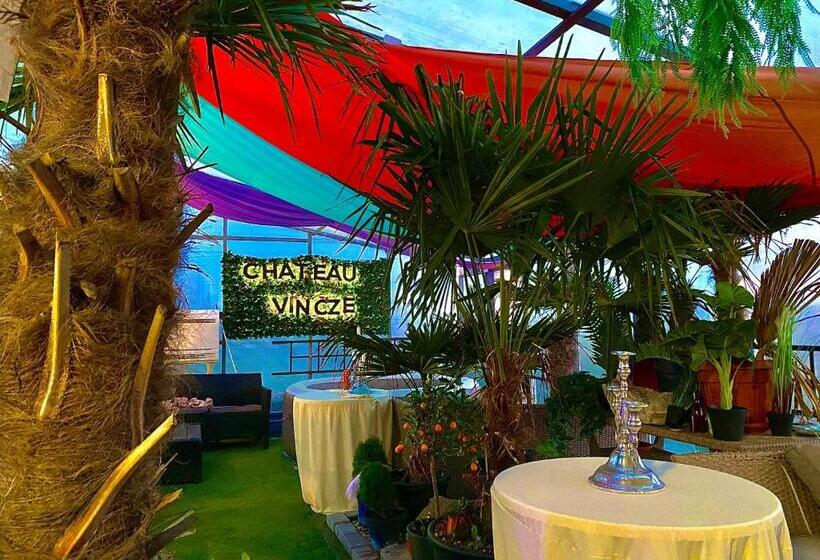 בית מלון כפרי Chateau Vincze