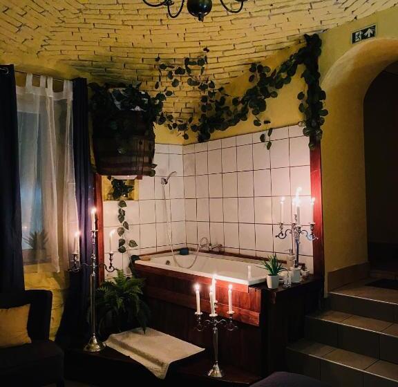 בית מלון כפרי Chateau Vincze